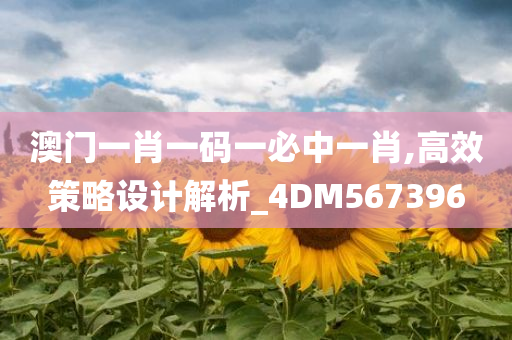 澳门一肖一码一必中一肖,高效策略设计解析_4DM567396