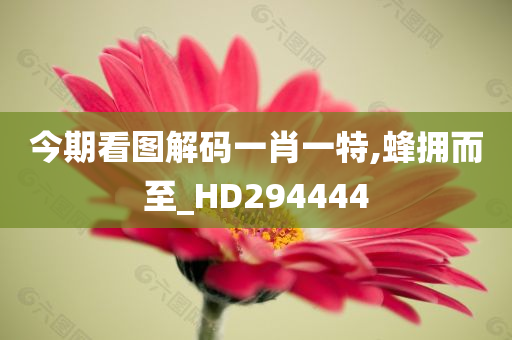 今期看图解码一肖一特,蜂拥而至_HD294444