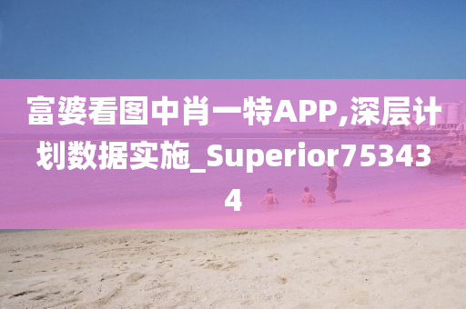 富婆看图中肖一特APP,深层计划数据实施_Superior753434