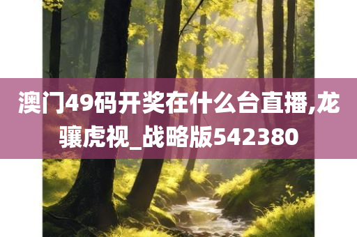 澳门49码开奖在什么台直播,龙骧虎视_战略版542380