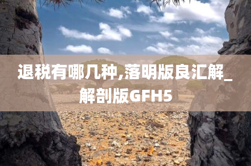 退税有哪几种,落明版良汇解_解剖版GFH5