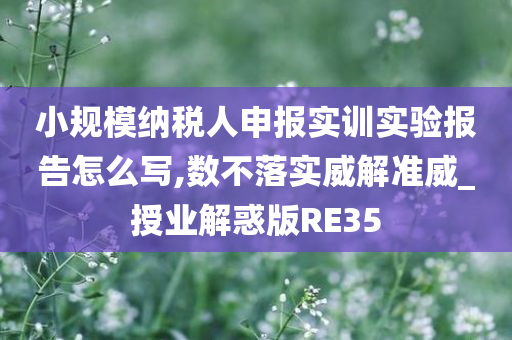 小规模纳税人申报实训实验报告怎么写,数不落实威解准威_授业解惑版RE35