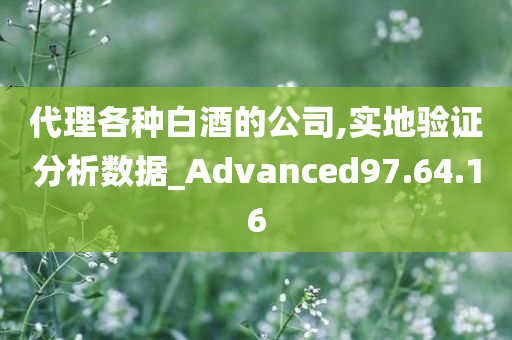 代理各种白酒的公司,实地验证分析数据_Advanced97.64.16