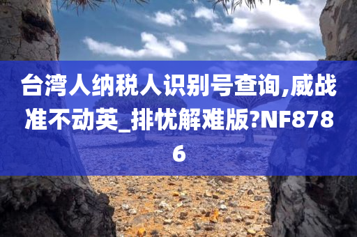 台湾人纳税人识别号查询,威战准不动英_排忧解难版?NF8786