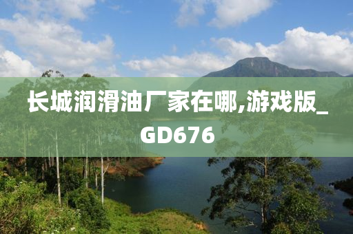 长城润滑油厂家在哪,游戏版_GD676