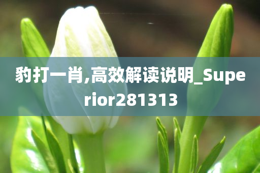 豹打一肖,高效解读说明_Superior281313