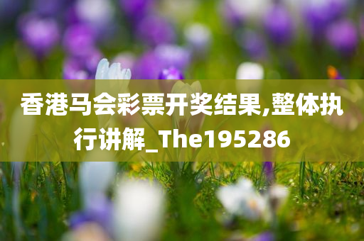 香港马会彩票开奖结果,整体执行讲解_The195286