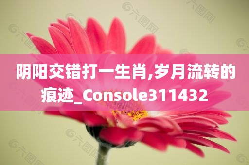 阴阳交错打一生肖,岁月流转的痕迹_Console311432