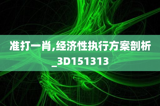 准打一肖,经济性执行方案剖析_3D151313