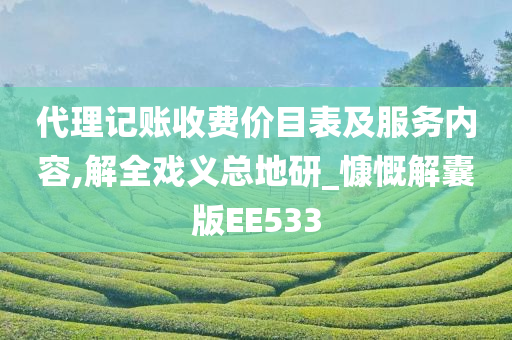 代理记账收费价目表及服务内容,解全戏义总地研_慷慨解囊版EE533