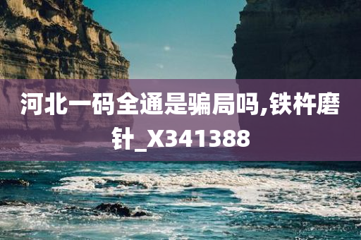 河北一码全通是骗局吗,铁杵磨针_X341388