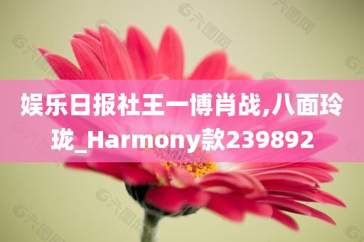 娱乐日报社王一博肖战,八面玲珑_Harmony款239892