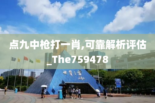 点九中枪打一肖,可靠解析评估_The759478