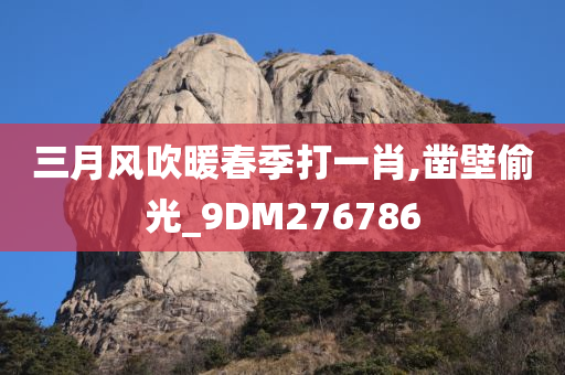 三月风吹暖春季打一肖,凿壁偷光_9DM276786