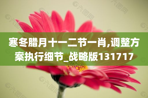 寒冬腊月十一二节一肖,调整方案执行细节_战略版131717