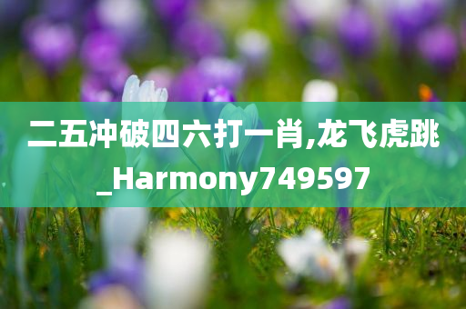 二五冲破四六打一肖,龙飞虎跳_Harmony749597