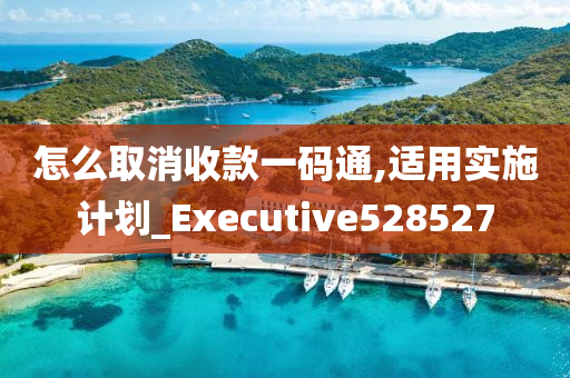 怎么取消收款一码通,适用实施计划_Executive528527