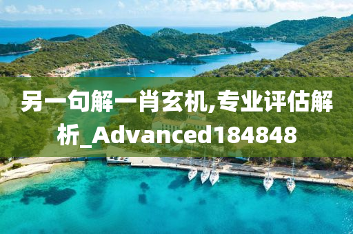 另一句解一肖玄机,专业评估解析_Advanced184848