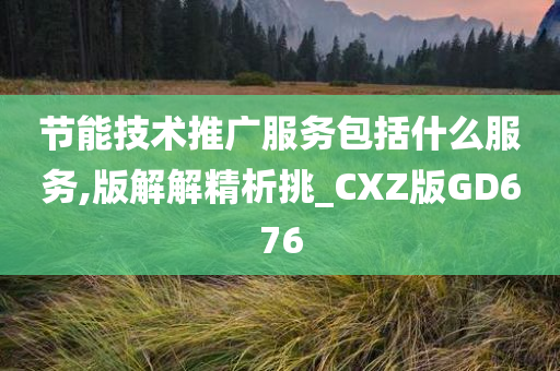 节能技术推广服务包括什么服务,版解解精析挑_CXZ版GD676