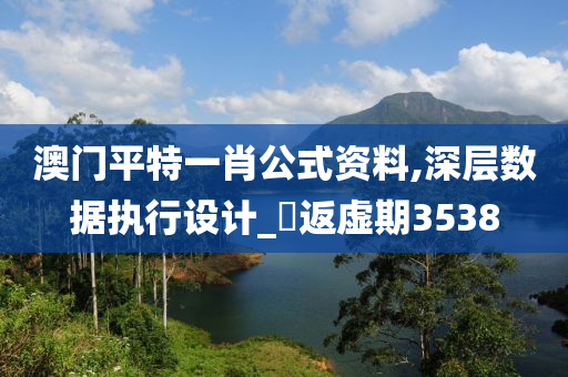 澳门平特一肖公式资料,深层数据执行设计_?返虚期3538