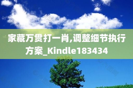 家藏万贯打一肖,调整细节执行方案_Kindle183434