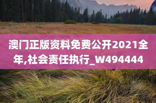 澳门正版资料免费公开2021全年,社会责任执行_W494444