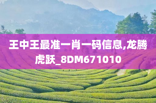 王中王最准一肖一码信息,龙腾虎跃_8DM671010