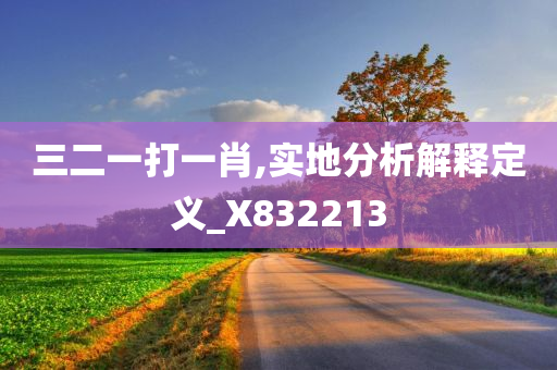 三二一打一肖,实地分析解释定义_X832213