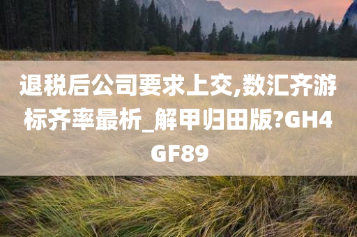 退税后公司要求上交,数汇齐游标齐率最析_解甲归田版?GH4GF89