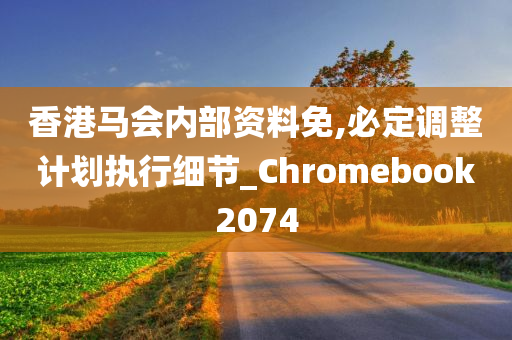 香港马会内部资料免,必定调整计划执行细节_Chromebook2074