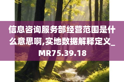 信息咨询服务部经营范围是什么意思啊,实地数据解释定义_MR75.39.18