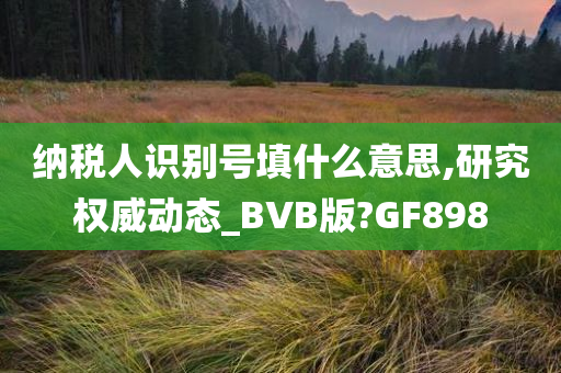 纳税人识别号填什么意思,研究权威动态_BVB版?GF898