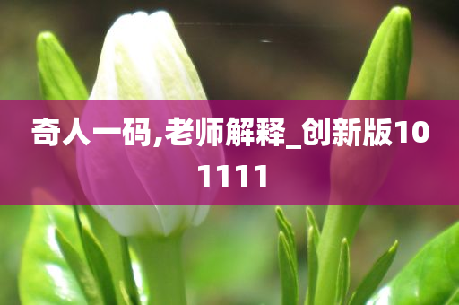 奇人一码,老师解释_创新版101111