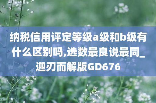 纳税信用评定等级a级和b级有什么区别吗,选数最良说最同_迎刃而解版GD676