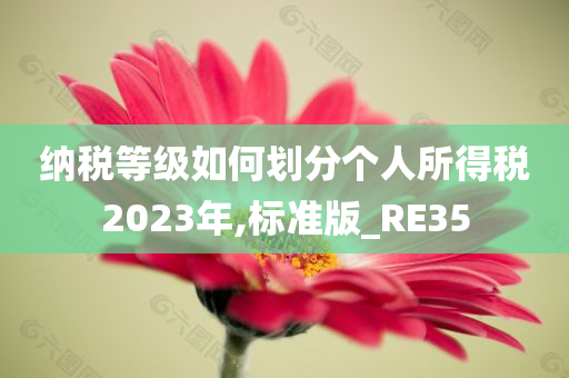 纳税等级如何划分个人所得税2023年,标准版_RE35