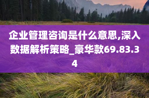 企业管理咨询是什么意思,深入数据解析策略_豪华款69.83.34