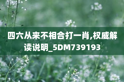 四六从来不相合打一肖,权威解读说明_5DM739193