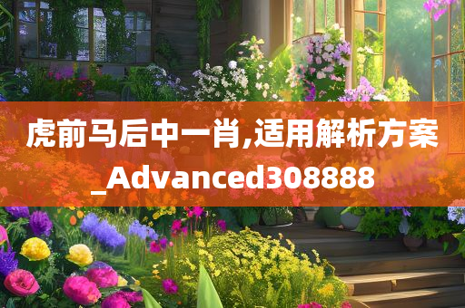 虎前马后中一肖,适用解析方案_Advanced308888