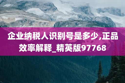 企业纳税人识别号是多少,正品效率解释_精英版97768