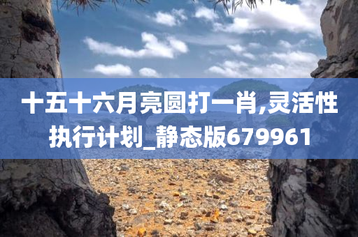 十五十六月亮圆打一肖,灵活性执行计划_静态版679961