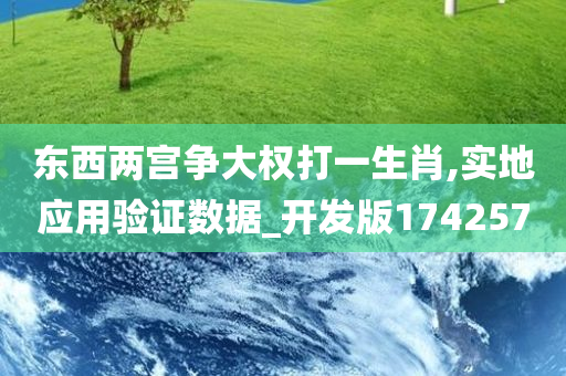 东西两宫争大权打一生肖,实地应用验证数据_开发版174257