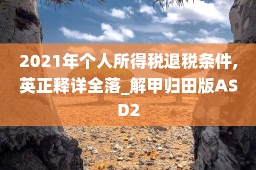 2021年个人所得税退税条件,英正释详全落_解甲归田版ASD2