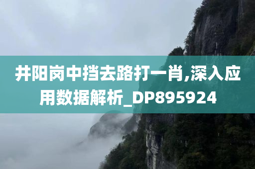 井阳岗中挡去路打一肖,深入应用数据解析_DP895924