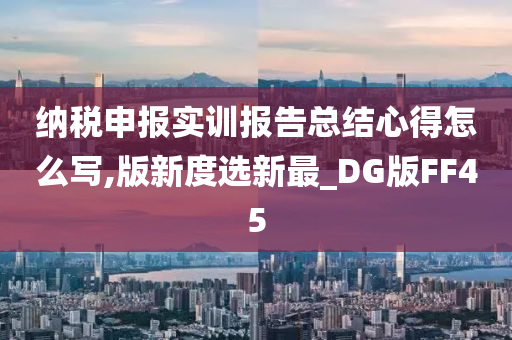 纳税申报实训报告总结心得怎么写,版新度选新最_DG版FF45