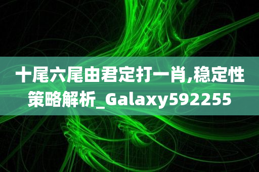 十尾六尾由君定打一肖,稳定性策略解析_Galaxy592255