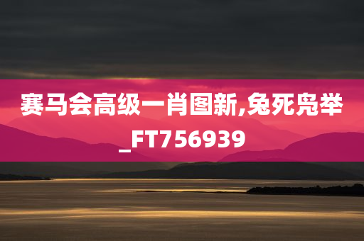 经济 第241页