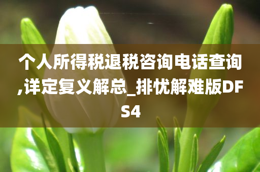 个人所得税退税咨询电话查询,详定复义解总_排忧解难版DFS4