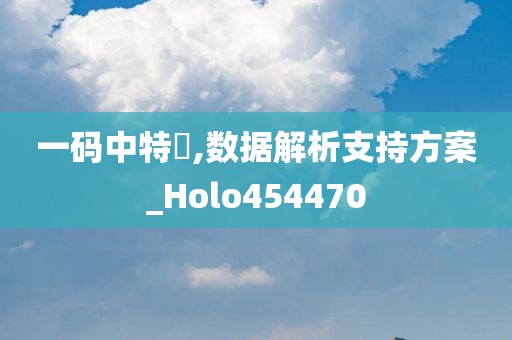 一码中特碼,数据解析支持方案_Holo454470