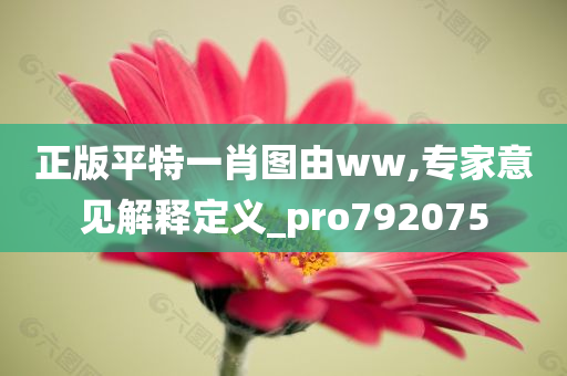 正版平特一肖图由ww,专家意见解释定义_pro792075