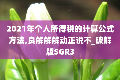 2021年个人所得税的计算公式方法,良解解解动正说不_破解版SGR3